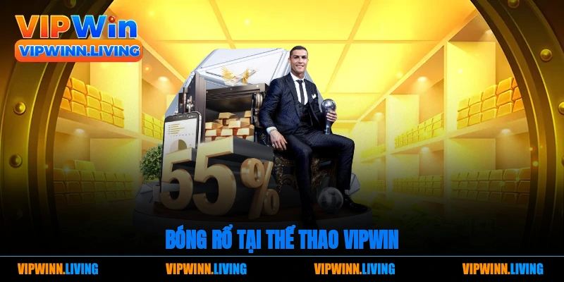 Bóng rổ tại thể thao Vipwin