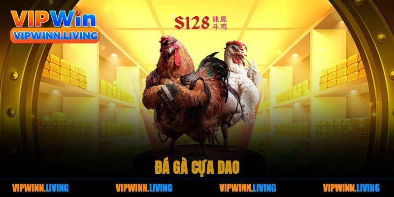 đá gà cựa dao