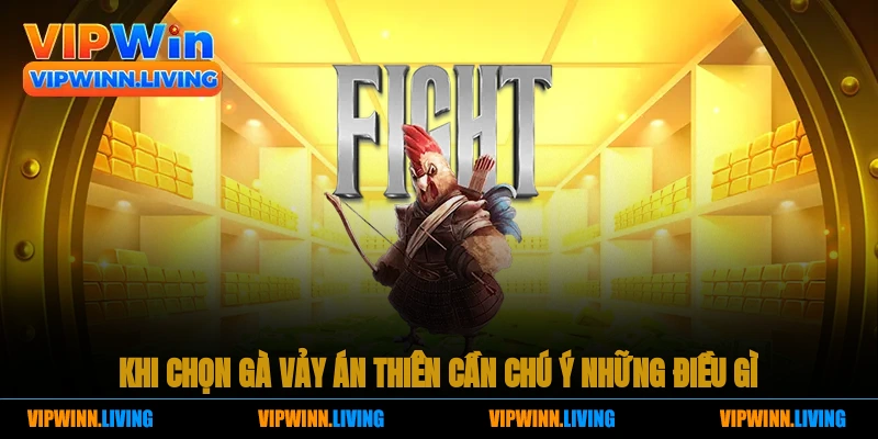 Khi chọn gà vảy Án Thiên, cần chú ý những điều gì