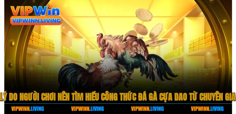Lý do người chơi nên tìm hiểu công thức đá gà cựa dao từ chuyên gia