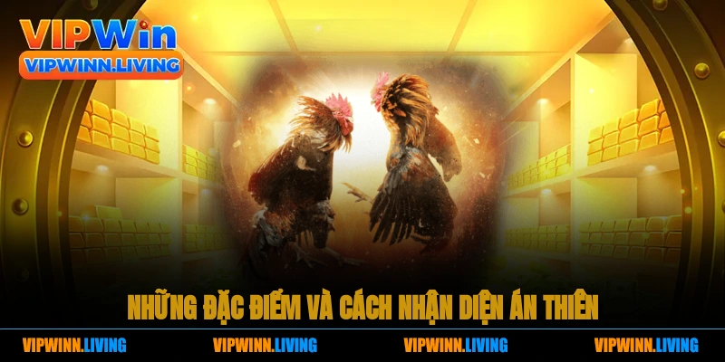 Những đặc điểm và cách nhận diện Án Thiên