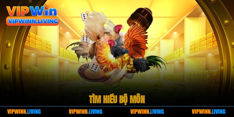 Tìm hiểu bộ môn.