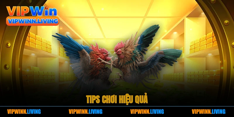 Tips chơi hiệu quả.